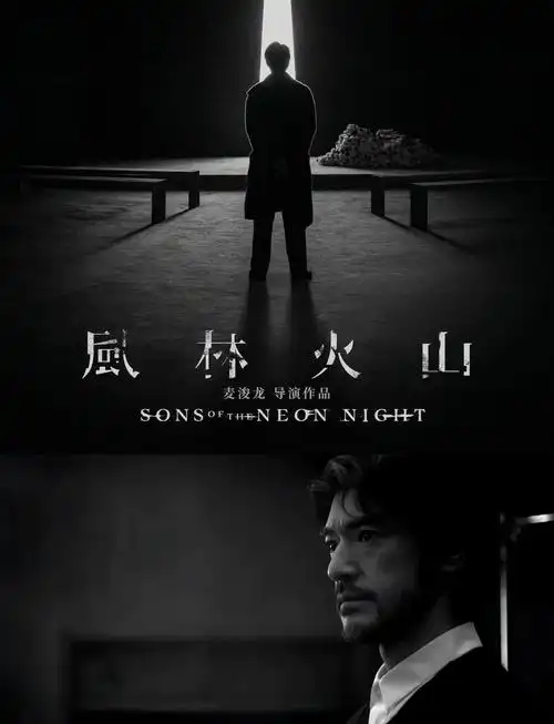 【风林火山】2025 金城武、刘青云、梁家辉、古天乐、高圆圆 剧情犯罪片-搜盘库